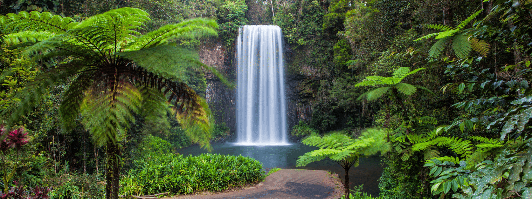 Waterfall in the Atherton Tablelands in North Queensland, Australia