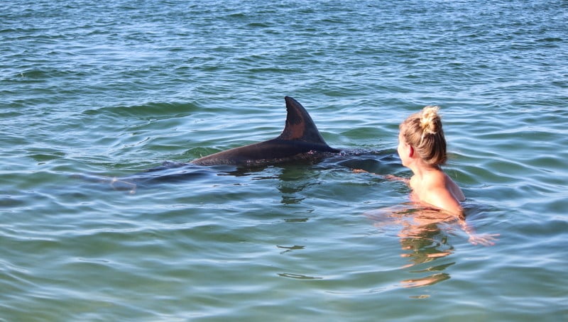 Girl swimming with shark