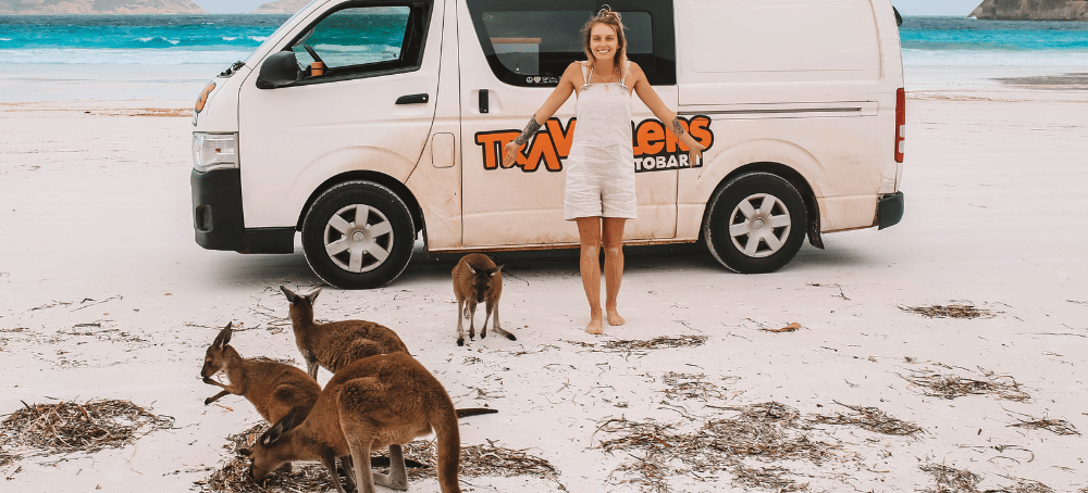 Campervan with kangaroos in front 