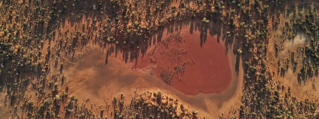 Aerial view of river in Western Australia