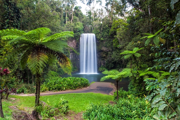 Millaa-Millaa-Falls-Queensland