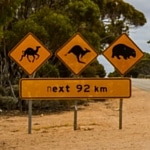 Australia Wildlife 