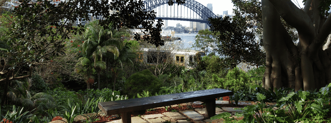 Wendy's Hidden Garden, Sydney
