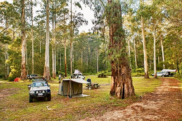 Ada River campground is situated on the outskirts of the Errinundra National Park.