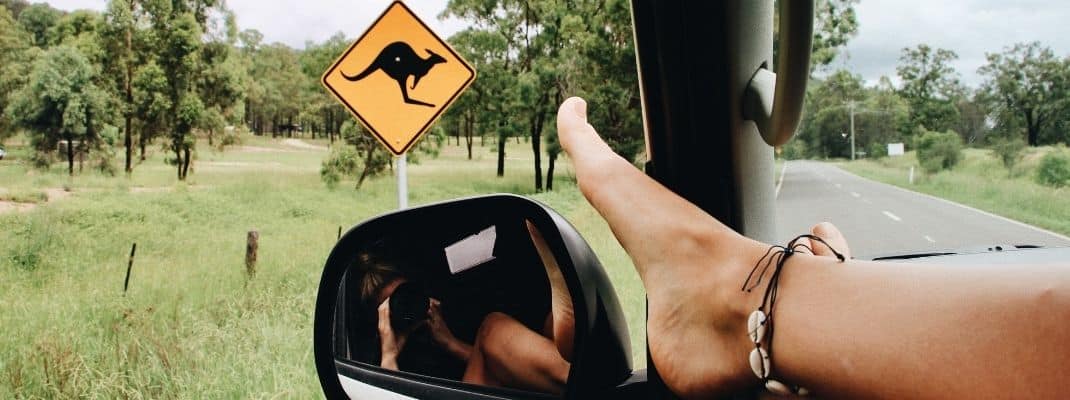 Kangaroo road sign from car