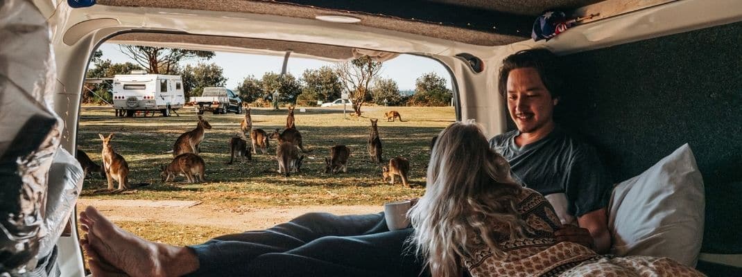 couple in van looking at kangaroos