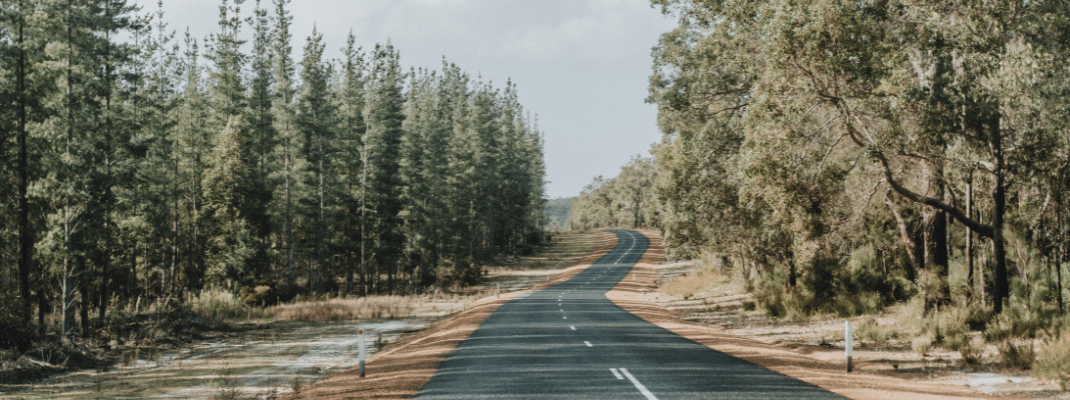 Driving through forest in Western Australia